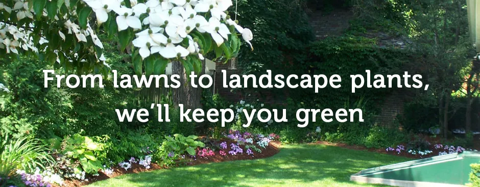 work photo from greentechlandscape.net