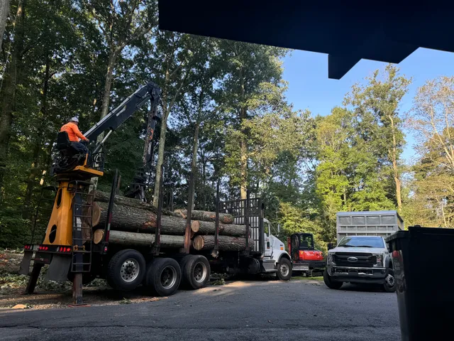 Sanchez-row tree service llc work photo