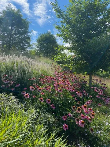 work photo from uncommongroundgardenservices.com