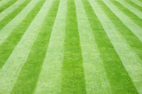 work photo from lawncraft.co