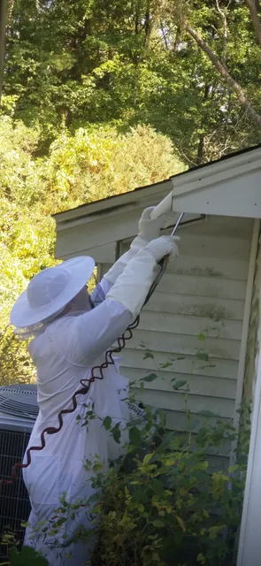 Armor Pest Control work photo