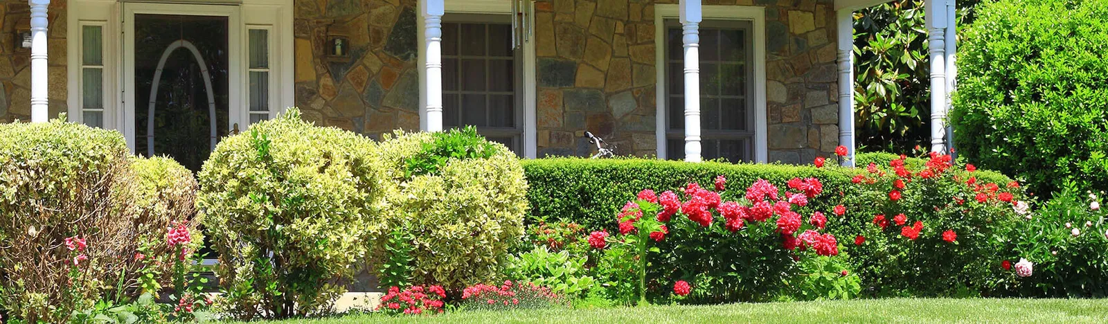 Cambridge Landscaping Company, Landscaper and Landscaping Services
