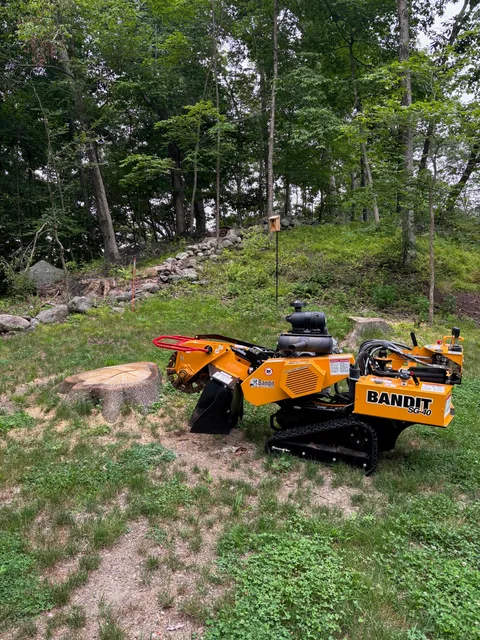 GrindForce Stump Grinding work photo
