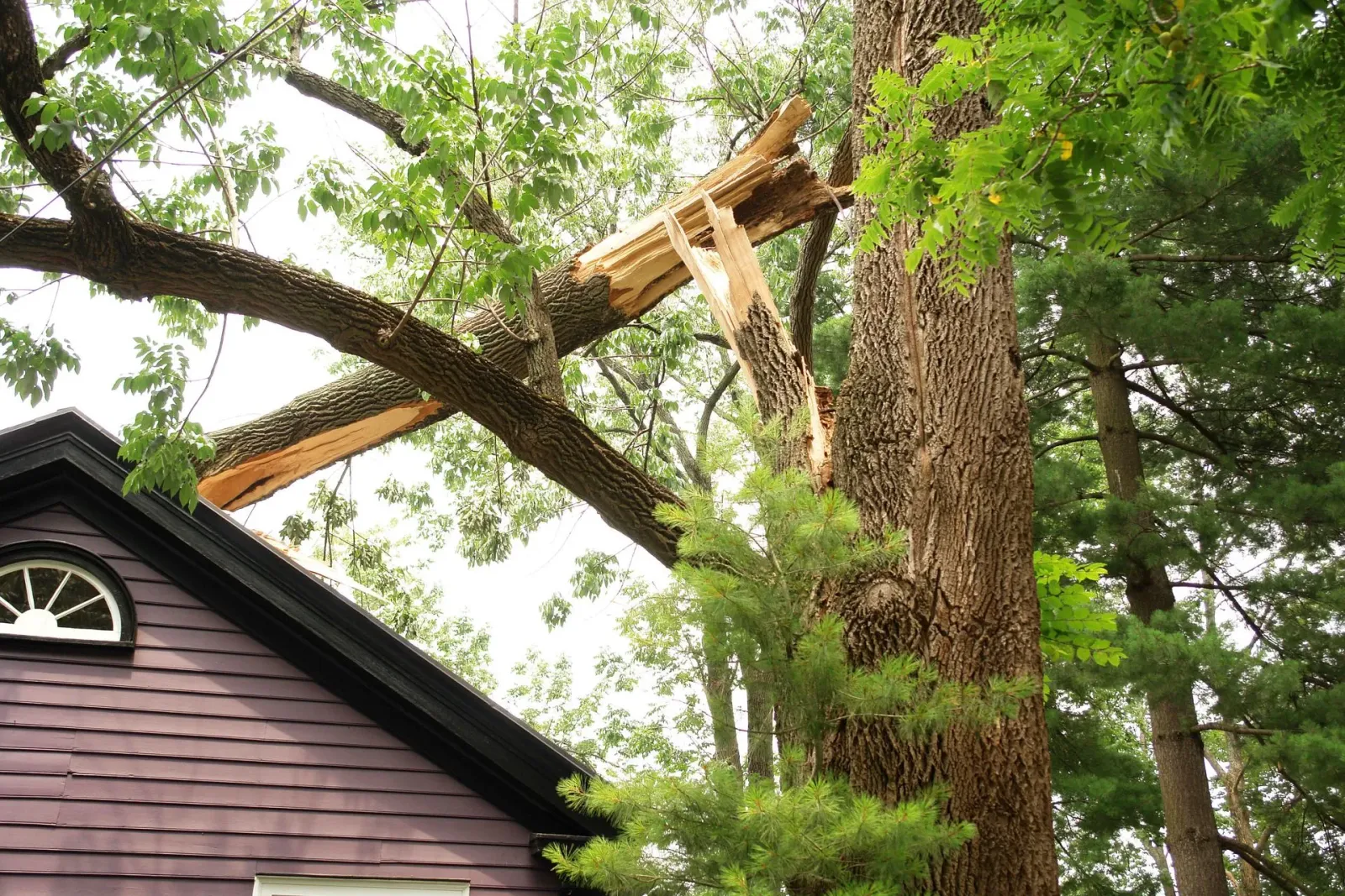 Storm Damage