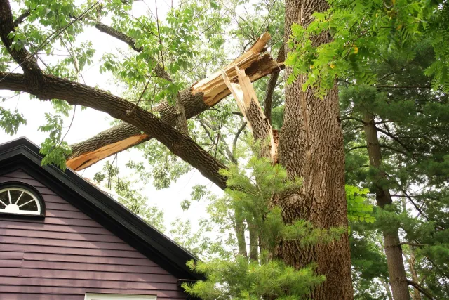 Storm Damage