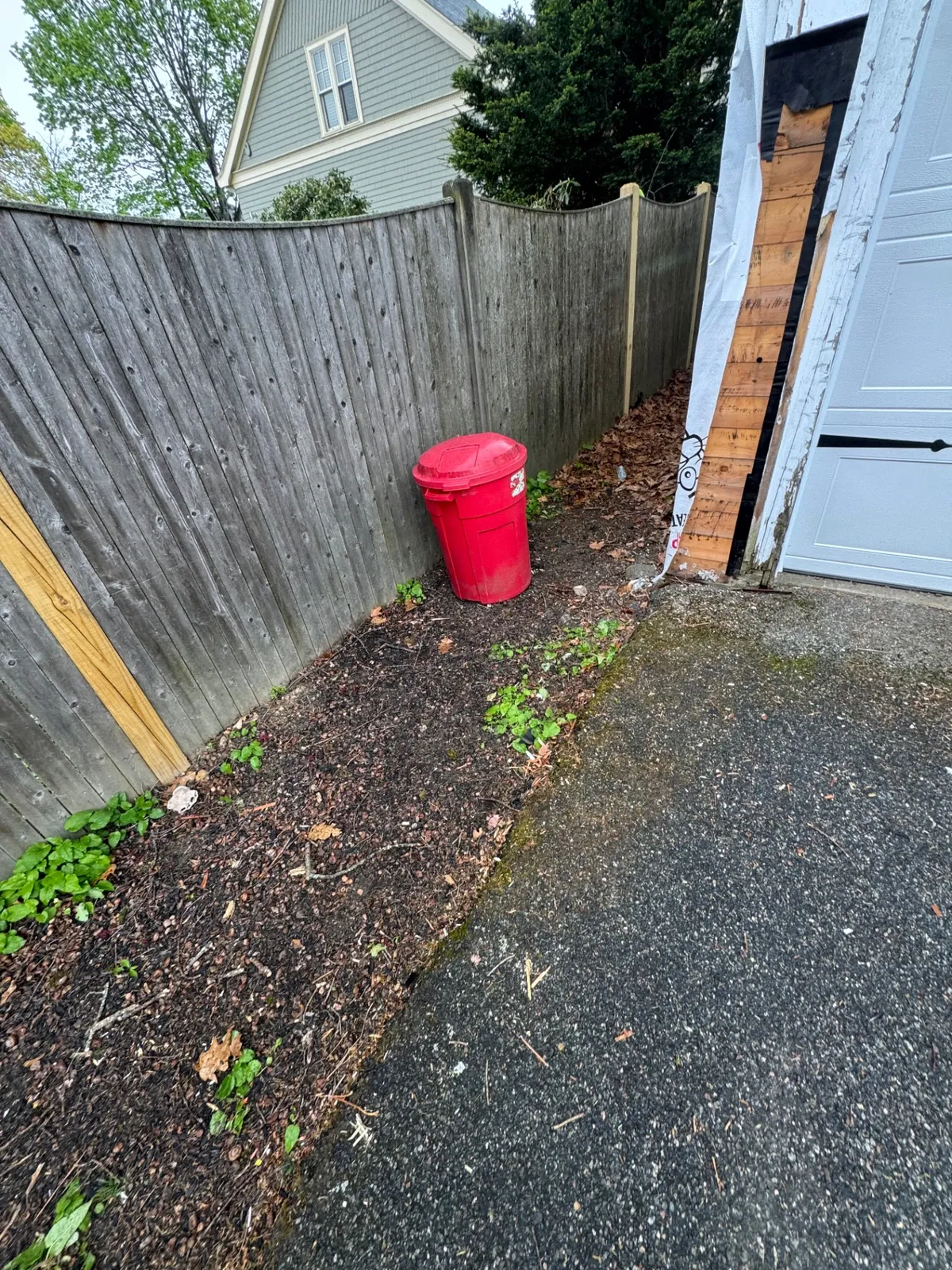 Side Yard Debris Removal — after