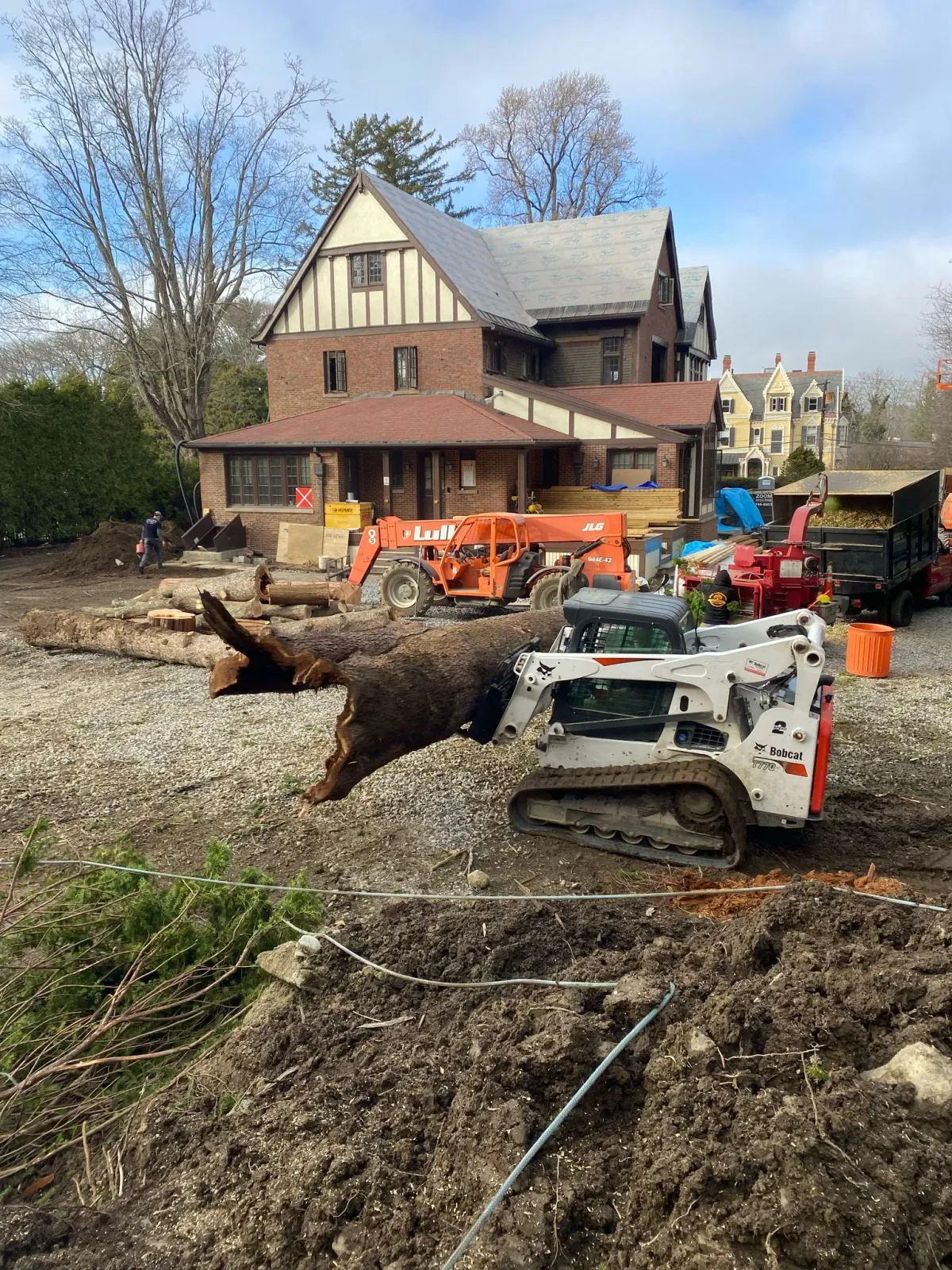 work photo from adantreeservices.com