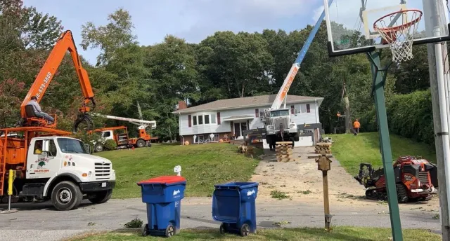 Utility trucks and a crane truck working in a residential driveway beside a house and basketball hoop.