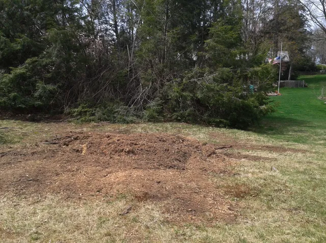 Bubba Stump LLC work photo