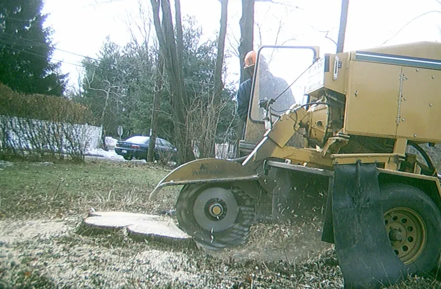 Ed's Stump Grinding researched project photo