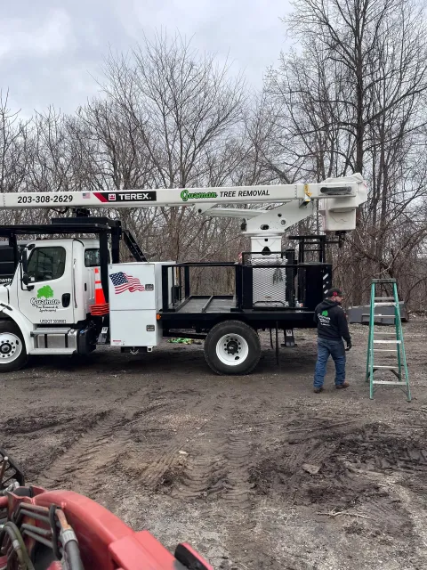 Utility truck with bucket lift and worker near a green ladder in a muddy wooded area