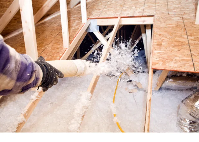 Insulation (3).png