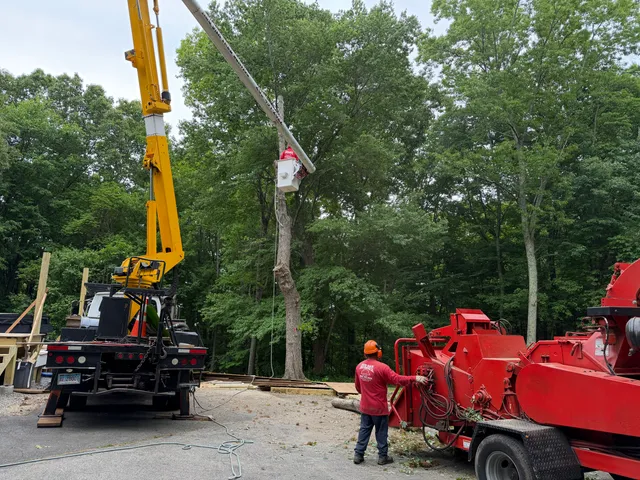 Red Oak Tree Service LLC. work photo