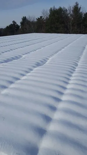 Snow Removal