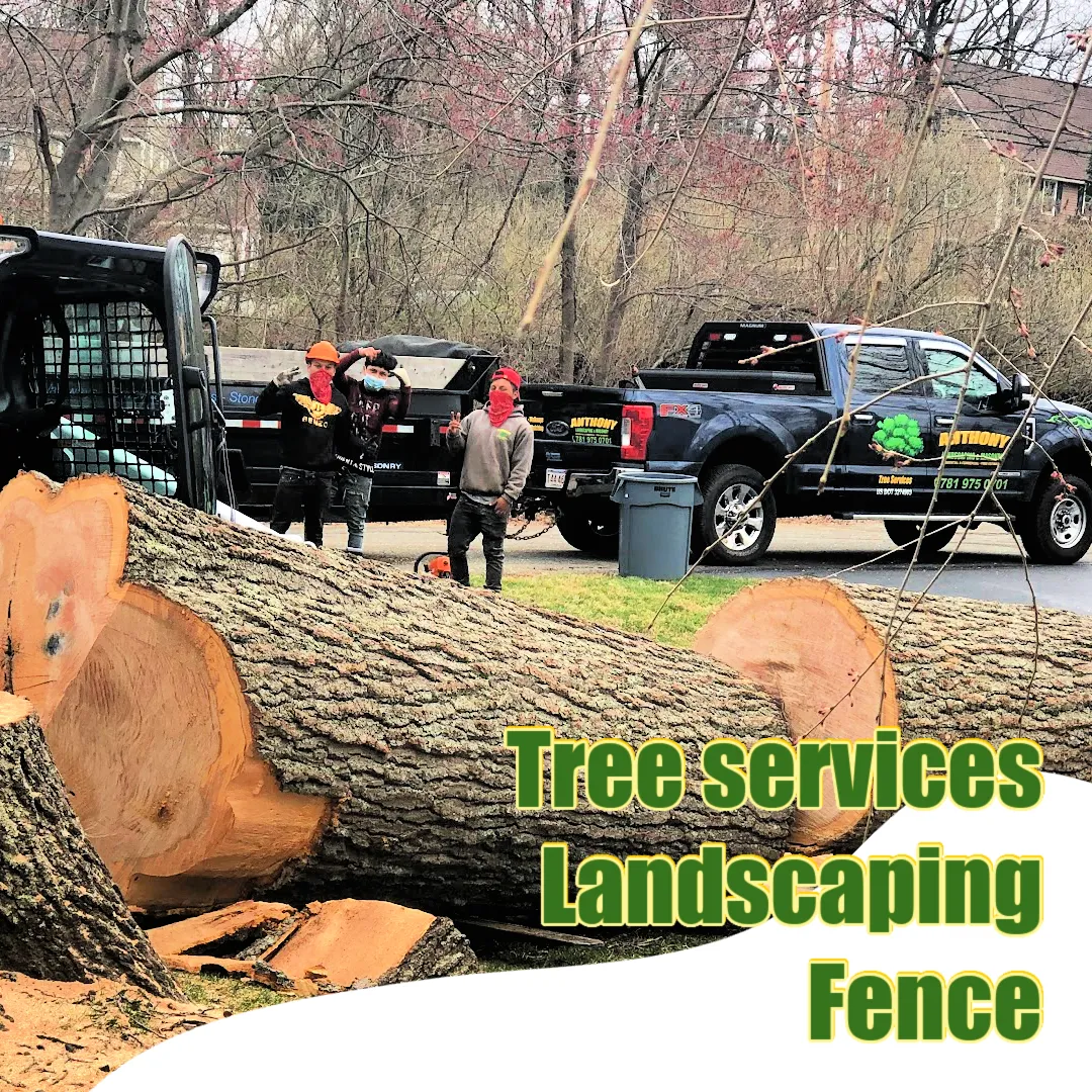 Anthony Tree Services & Landscaping