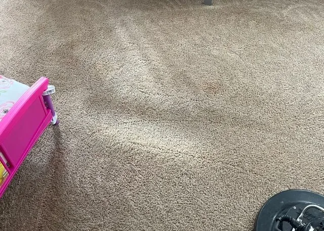 work photo from romancarpetcleaningservice.com