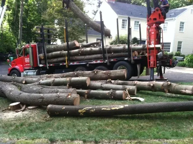 Red logging truck with crane hauling cut tree logs on a residential street, logs scattered in foreground