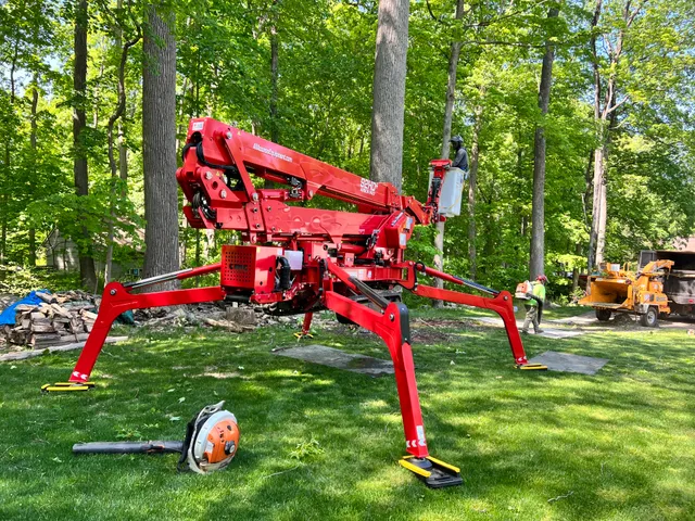 Rana Tree Removal LLC work photo