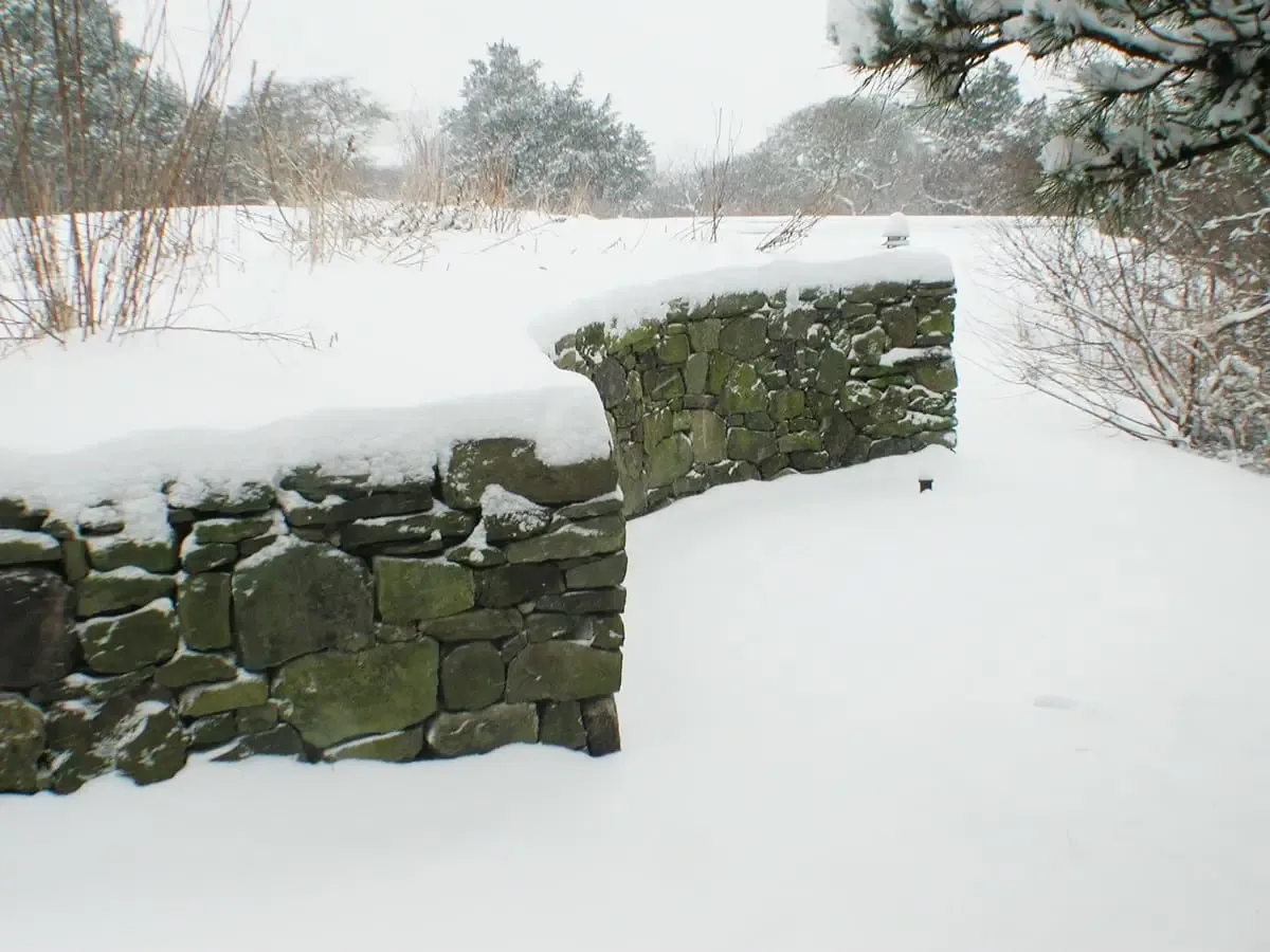 Brewster Road residence - terraced garden