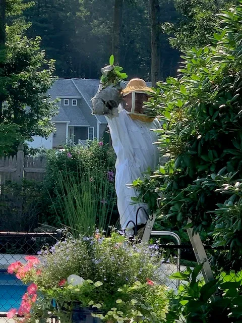 Combat Pest Control