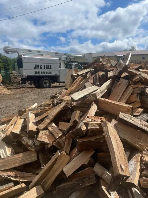 JMS Tree Services work photo