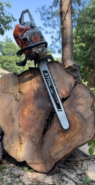 work photo from treeguysinc.com