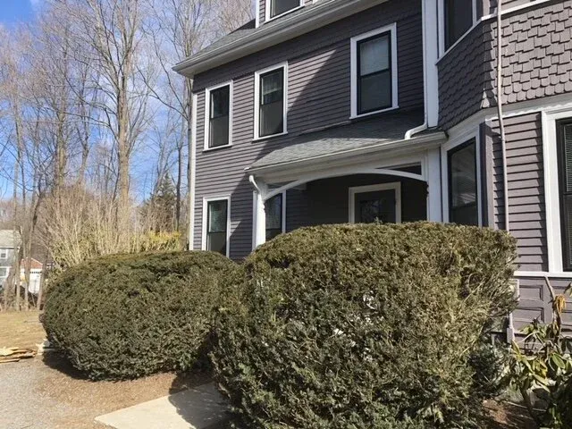 image1 (2).jpeg