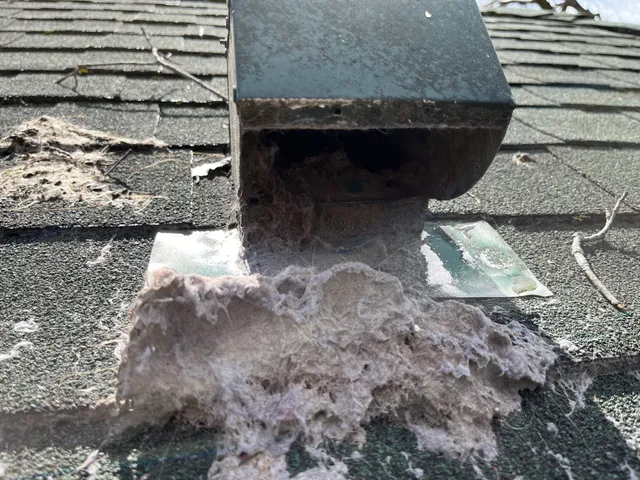 Lint Guard Pro work photo