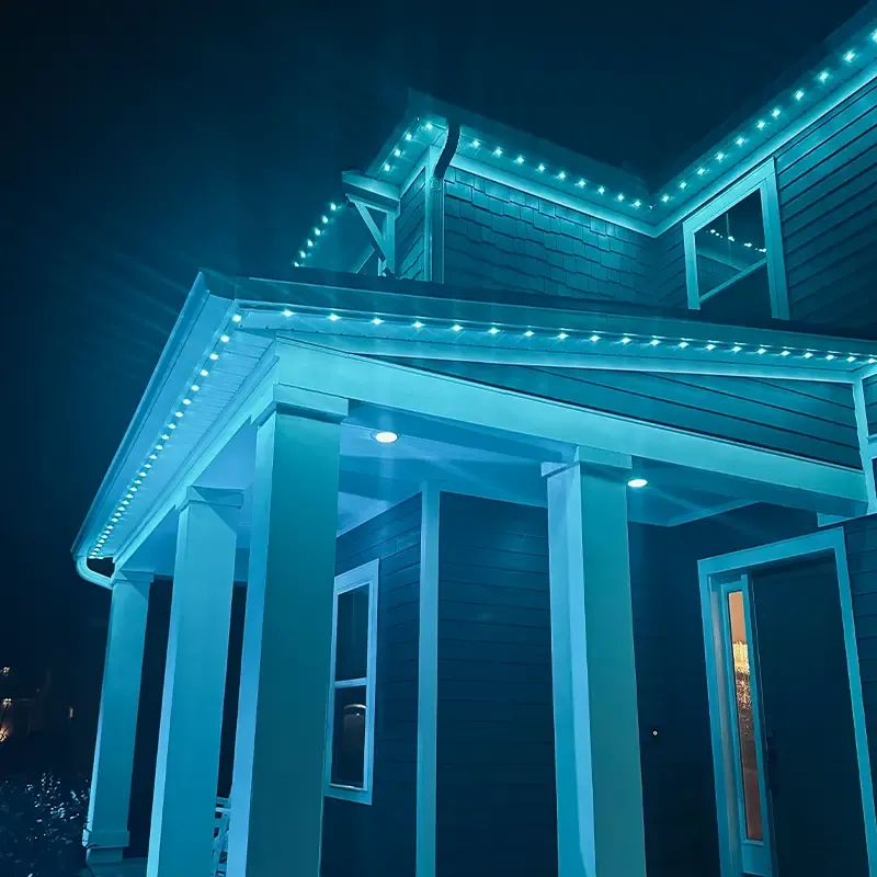 jellyfish lighting, residential outdoors lighting