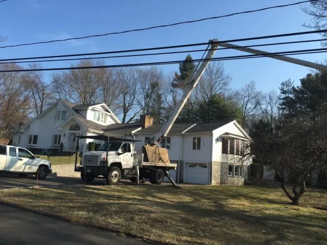 work photo from sandovaltreeservice.com