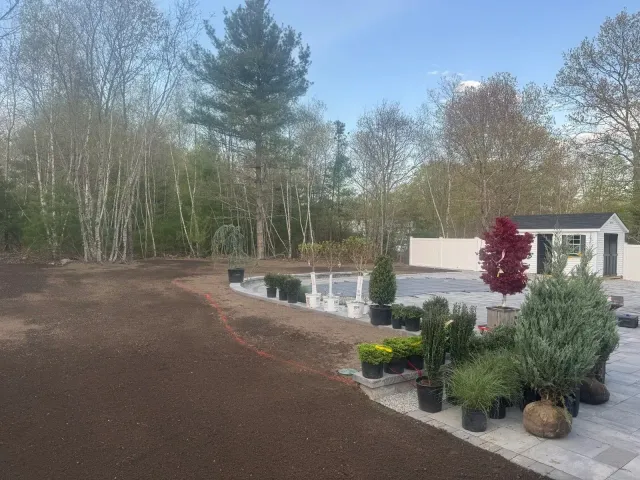 Garden center with potted shrubs beside a pond, dirt path, and trees under a clear blue sky.