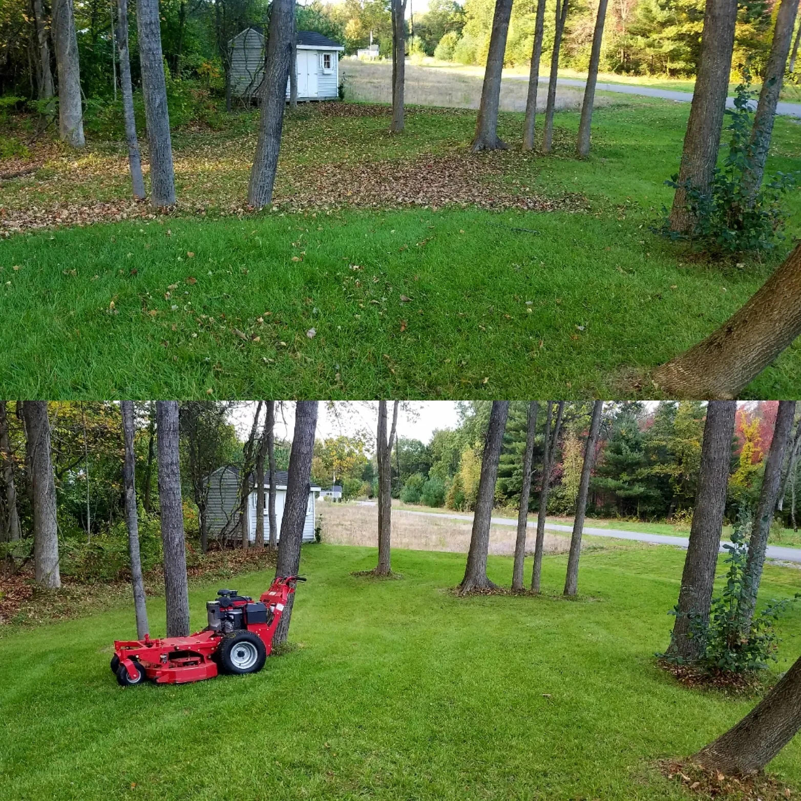 work photo from Google listing