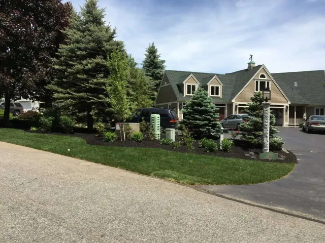 streetside garden1 min