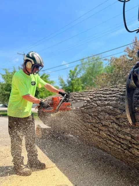 Souhegan Valley Tree Service work photo