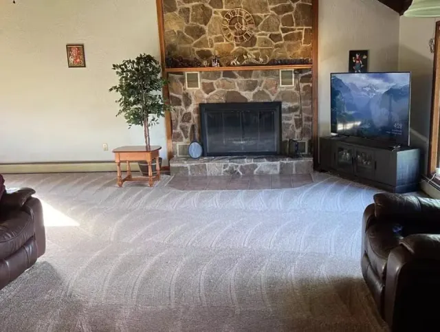 Dust Bunnies Cleaning work photo