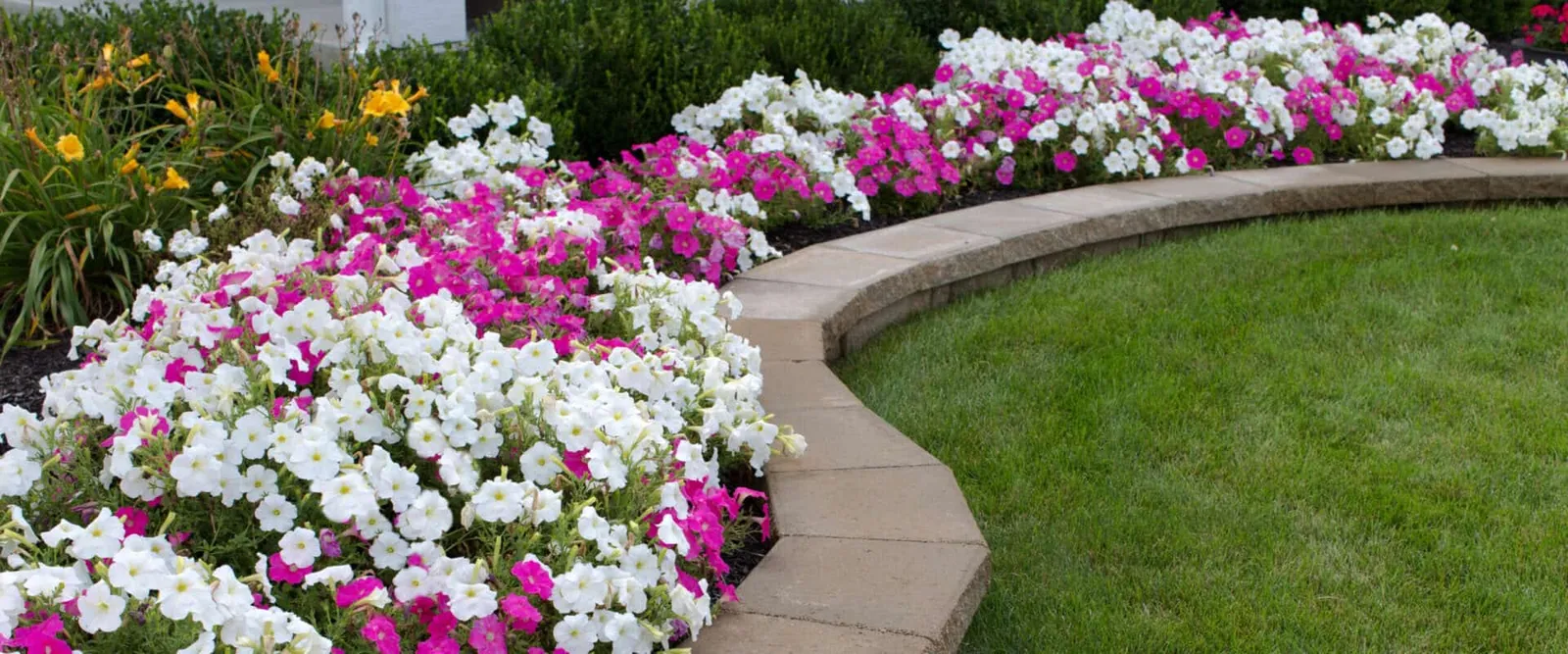 South Shore Planting Services