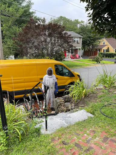 Beverly Bees work photo