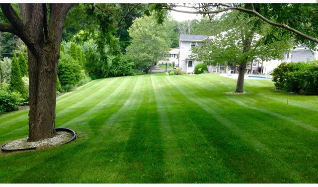 Mascia's Lawn Care llc. work photo