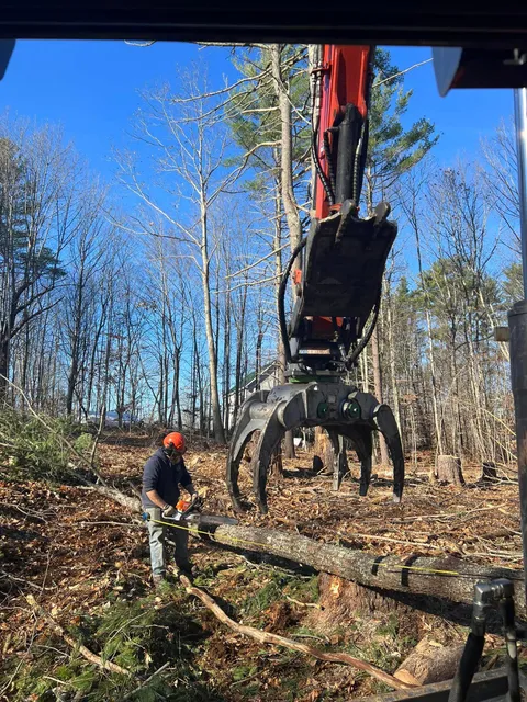 McCabe Logging and Tree Service work photo