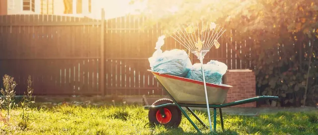 Seasonal Cleanups