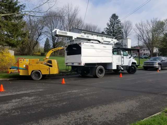 The Magnolia Tree Services LLC work photo