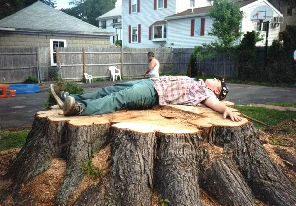 Advanced Stump Services work photo