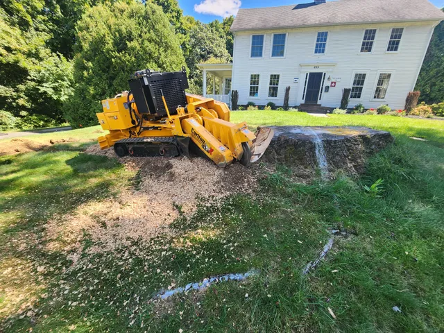 PIONEERSTUMP.COM work photo