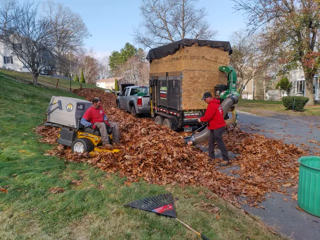 Carroll Lawn Care work photo