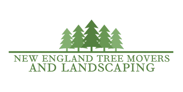 New England Tree Movers work photo