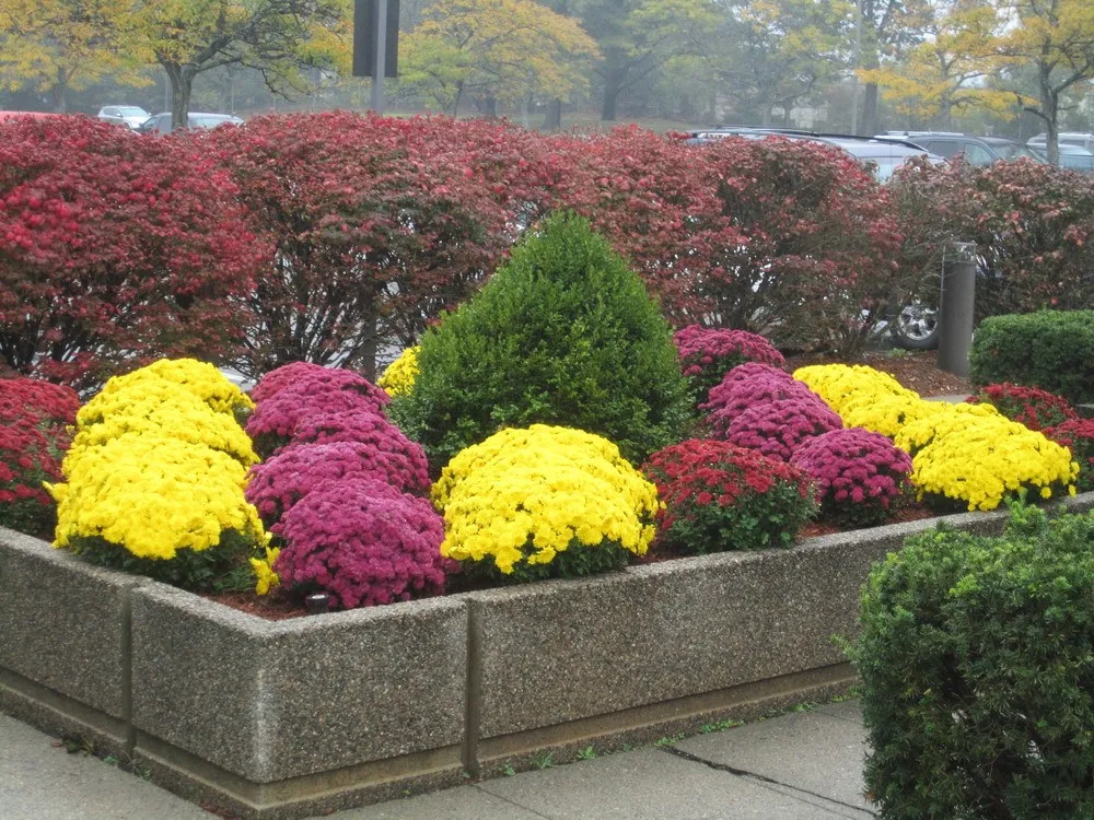 work photo from mcleodlandscaping.com