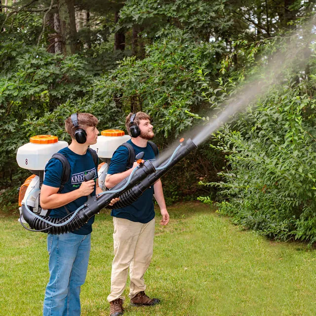 Kinder Spray work photo