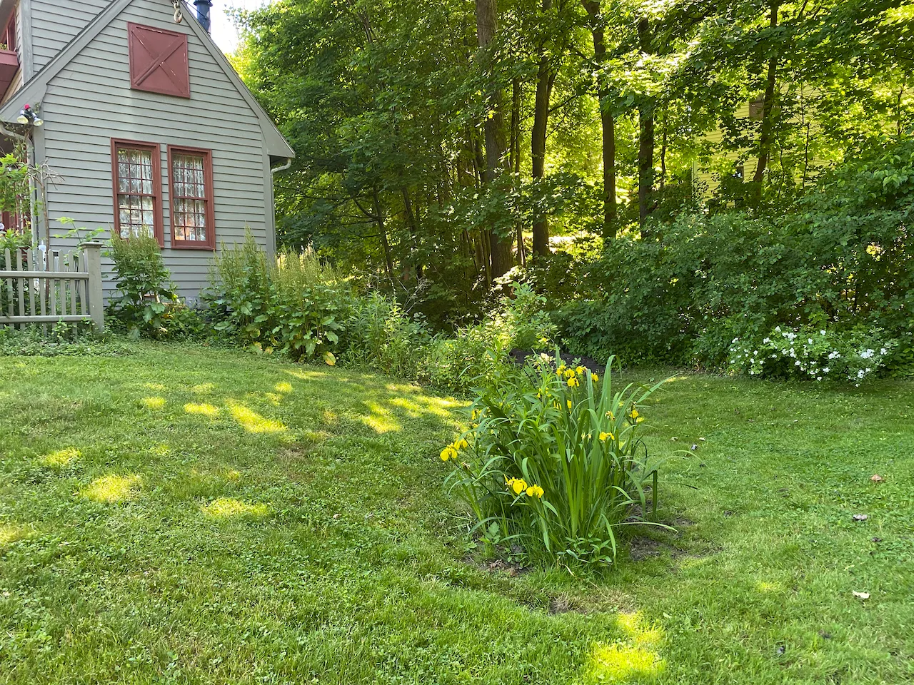 lawn-renovation-before-marblehead-ma