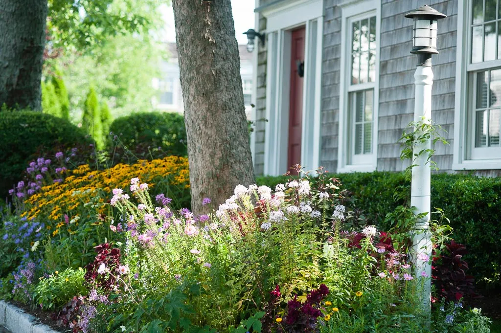 work photo from workingearthmarthasvineyard.com