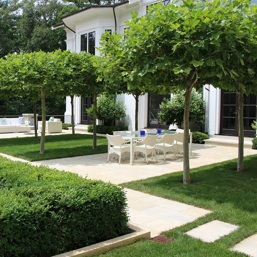 Hillside Residence